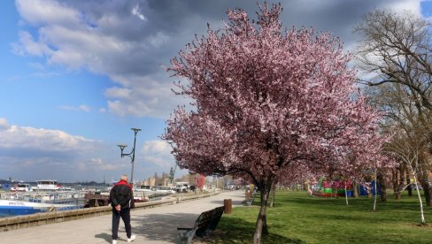 БИЋЕ И ДО 25 СТЕПЕНИ: Од овог датума враћа нам се пролеће