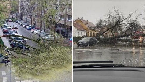 HAOS U ZAGREBU - VETAR RUŠIO STABLA, VOZ IZLETEO KOD BJELOVARA: Da je ovo u Beogradu, ne bi se moglo živeti od blokadera