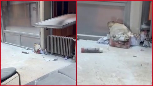 PRVI SNIMAK SA FILOZOFSKOG FAKULTETA: Da li je moguće da je devojka stradala zbog neodgovornosti svojih blokaderskih kolega?