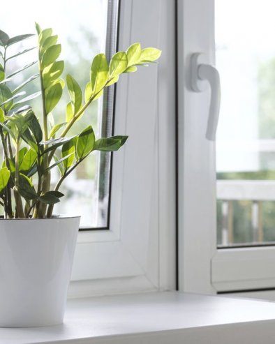 ЗАМИЈА НЕ ТРЕБА ДА СТОЈИ БИЛО ГДЕ У КУЋИ: Само једно место је исправно