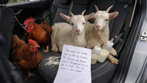 ОВО НИЈЕ ПРВОАПРИЛСКА ШАЛА! Отворио врата аута и затекао призор који га је оставио у шоку – уз њих је стајало и потресно писмо