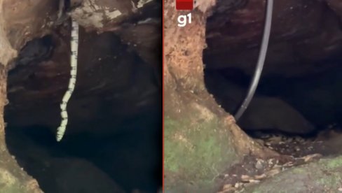 NAJDUŽA ZMIJA IKAD SNIMLJENA? Izašla iz stene u pećini - nema joj kraja, turisti gledali u ŠOKU (VIDEO)
