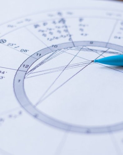 ZAŠTO PAS STRELAC VOLI DA SKITA? Horoskop Novosti:  Životinje su kao i ljudi pod uticajem planeta i zvezda koje određuju njihov karakter