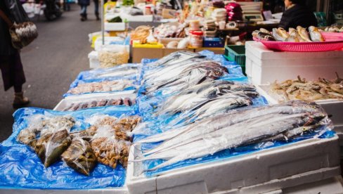 NIJE LOSOS, A CENA JE PRAVI LUKSUZ! Kilogram ove ribe u Srbiji košta skoro 5.000 dinara