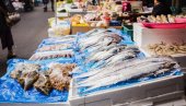 NIJE LOSOS, A CENA JE PRAVI LUKSUZ! Kilogram ove ribe u Srbiji košta skoro 5.000 dinara