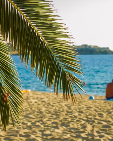 KAN BEZ ITALIJANA: Objavljena lista filmova koji će se naći u takmičarskom programu i trci za Zlatnu palmu