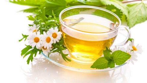 LEK IZ PRIRODE: Kopriva, bokvica i kamilica da ublažite alergiju