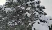 OD MINUSA DO SNEŽNIH NANOSA: Sneg stiže u ove delove Srbije, poznato i kada se očekuje otopljenje