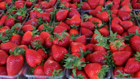 Najveća prevara sa jagodama: Ako vidite ovo na dnu gajbice, bežite od te tezge