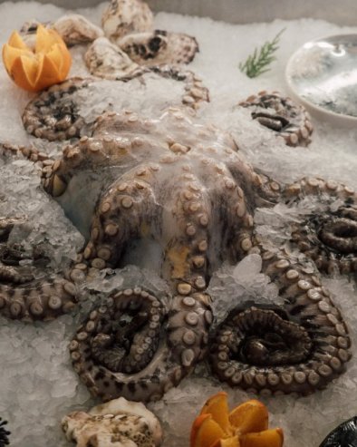 DA LI BISTE OVO PROBALI? Sladoledi od hobotnice, lignji i konjetine postaju stvarnost