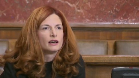 Није нама у интересу да ви усвајате европске законе: Опозиција напокон показала своје право лице