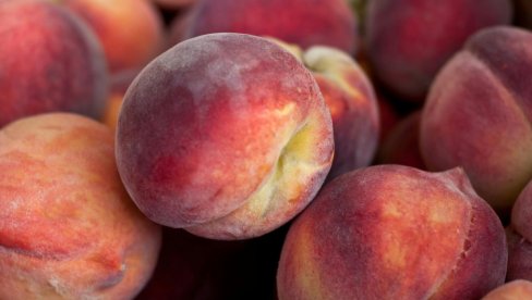 Kako zaraditi na breskvama, čak i sa malo stabala: Saveti za vlasnike manjih plantaža