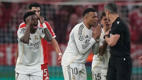 Није Славко крив: "Камавинга је глупи идиот"!