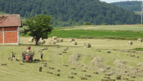 Konkurs pokrajinske Vlade: Za aktivnosti na selu 30 miliona