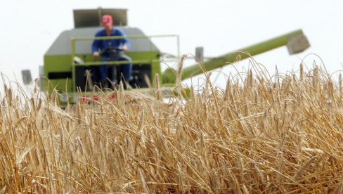 NOVI UDAR NA SRPSKE POLJOPRIVREDNIKE: EU pooštrava pravila, stižu veća ulaganja i skuplja hrana