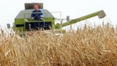 NOVI UDAR NA SRPSKE POLJOPRIVREDNIKE: EU pooštrava pravila, stižu veća ulaganja i skuplja hrana