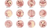 DNEVNI HOROSKOP ZA UTORAK, 29. SEPTEMBAR: Raka očekuje više izlazaka, Škorpiju isplativ ali rizičan posao, Ribe imaju tajnog obožavaoca