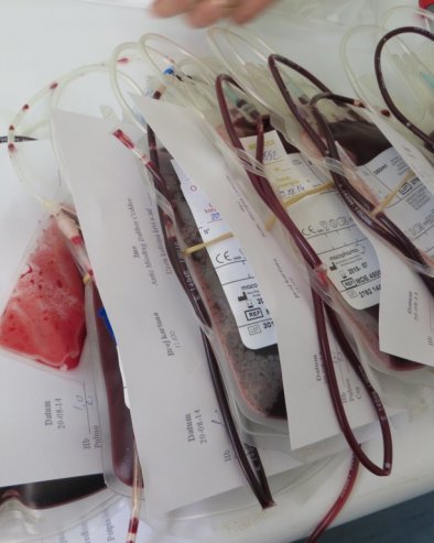 DDDK „Sveti Jovan Vladimir“: Sretu Boškoviću hitno potrebni krv i trombociti