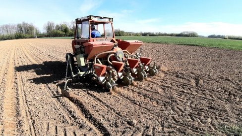 Paprena setva u Semberiji: Povoljni uslovi za nastavak prolećnog sejanja kukuruza i bilja