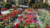 Bogata ponuda na sajmu cveća: Tradicionalna manifestacija u Somboru do 25. aprila