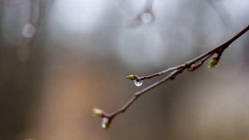 PROMENLJIVO OBLAČNO I NESTABILNO: Danas kiša, popodne grad i olujni vetar