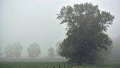 JUTRO HLADNO, PONEGDE SA MAGLOM: Evo kakvo nas vreme očekuje tokom dana