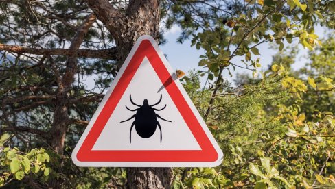 Krenula je sezona: Ako primetite krpelja na koži eno šta nikako ne treba da radite