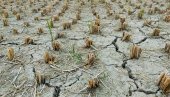 APOKALIPTIČNI PRIZORI IZ EVROPE: Jezero presušilo, čamci ostali nasukani!