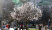 Temperatura i do 28 stepeni: Od ovog datuma očekuje nas pravo letnje vreme