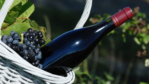 VINSKE TAJNE: Prvo pretakanje vina je najvažnije - Evo i zašto!
