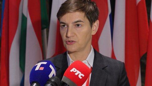 Брнабић у Копенхагену раскринкала Ђокића: Имамо лидера блокадера који је ректор и политичар - у томе је разлика њега и Блондела