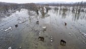 Odogovoran odnos prema klimatskim promenama: Srbija jasnim ciljem i znanjem u borbi sa najvažnijim globalnim izazovima