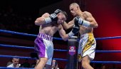 Spektakl u Beogradu: Borba za WBC titulu, a učestvuje krem srpskog boksa