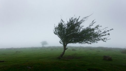 METEOROLOŠKO UPOZORENJE RHMZ: Deliblatskoj peščari prete jaki vetrovi i temperature iznad 35 stepeni