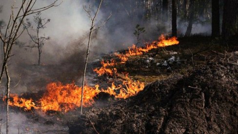 POŽAR U ČERNOBILJU PRETNJA ZA EVROPU: U Zabranjenoj zoni bukti vatra koju ukrajinski vatrogasci tri dana ne mogu da obuzdaju (FOTO)