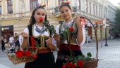 SVI PUTEVI VODE U - ŠABAC: Grad na Savi bogatom istorijom i turističkom ponudom priziva goste (FOTO)