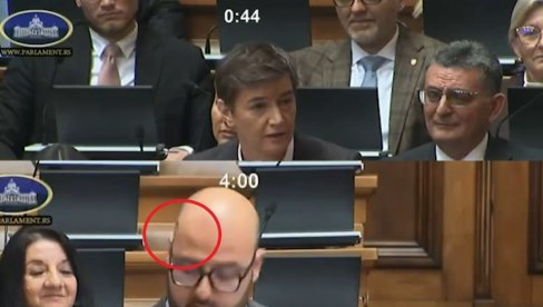 ХИТ СНИМАК! Брнабић: Мува је рекла оно што сви мисле, не воле људе који лажу децу… (ВИДЕО)