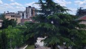 IZBACIMO KABASTI OTPAD: Akcija u Vranju