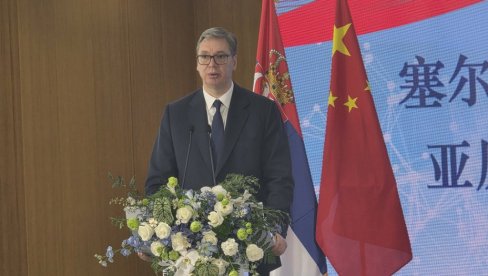 ВУЧИЋ СРЕЋАН ЗБОГ КОМПАНИЈА КОЈЕ ДОЛАЗЕ: Данас сам на видео шта значи наше челично пријатељство