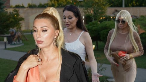 GODINAMA JE NA VISOKOJ FUNKCIJI: Evo čime se bavi sestra Cece Ražnatović