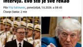 TRAMP I SI U ISTOM DANU: Vučević za Novosti o diplomatskom uspehu Srbije