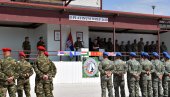 Министарство одбране: Почела вежба „Платинасти вук 26“