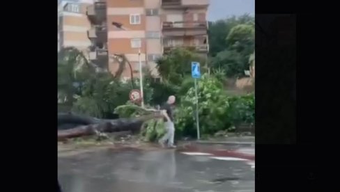 TORNADO ČUPAO DRVEĆE: Jako nevreme pogodilo Rim - dramatične scene iz italijanske prestonice (VIDEO)