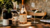 VELIKA VINA NASTAJU NA VELIKIM LOKACIJAMA: Otkrivamo zašto vinarija Erdevik i Fruška gora imaju idealne uslove za šardone
