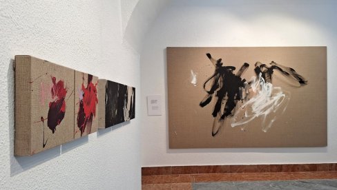 GALERIJA OGRANKA SANU U NOVOM SADU: Pogled u unutrašnji svet