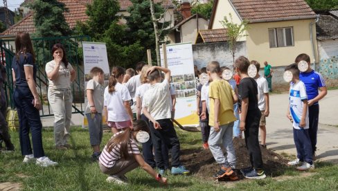 TRI KOPRIVIĆA I JUDINO DRVO: Povodom obeležavanja Svetskog dana životne sredine u Oš Jovan Dučić u Petrovaradinu