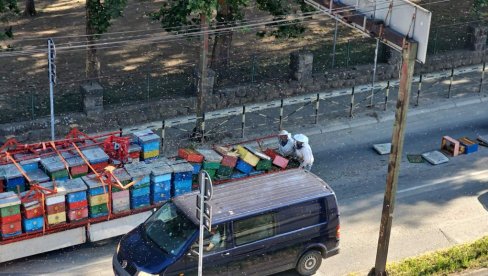 NAPALE SU LJUDE, IZBODENA I DECA Užas u Kraljevu: Košnice ispale iz kamiona, pčele ugrozile građane