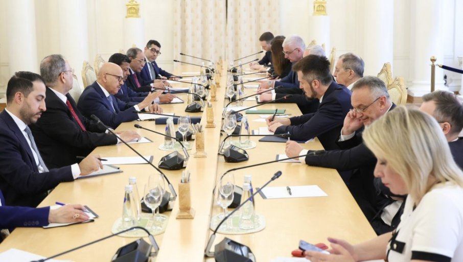 "IZNELI SMO OCENE NjIHOVE DESTRUKTIVNE POLITIKE OK