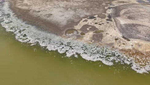 UGINULO GOTOVO 100% RIBE: Hitno zatvoreno popularno jezero - nadležni strahuju od posledica pomora