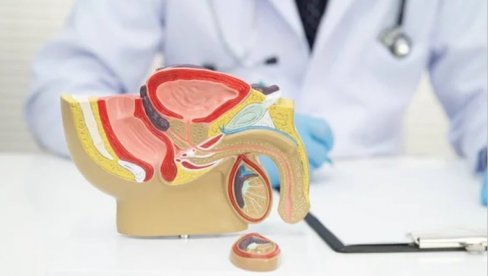 Uvećanje prostate progresivno se povećava nakon 60. godine: Tulijim laser od 200 vati pruža odlične rezultate